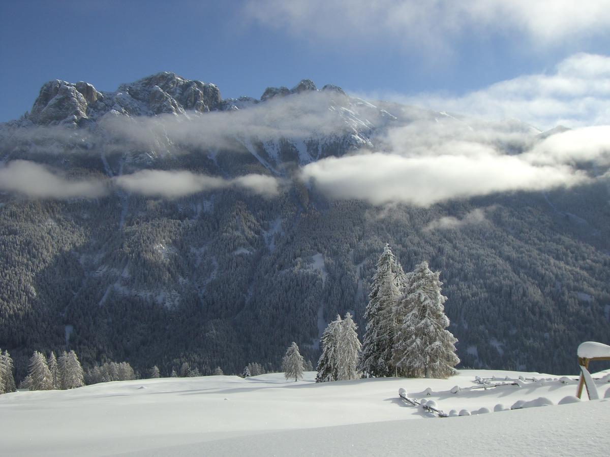 B&B Fior Vigo di Fassa Bagian luar foto